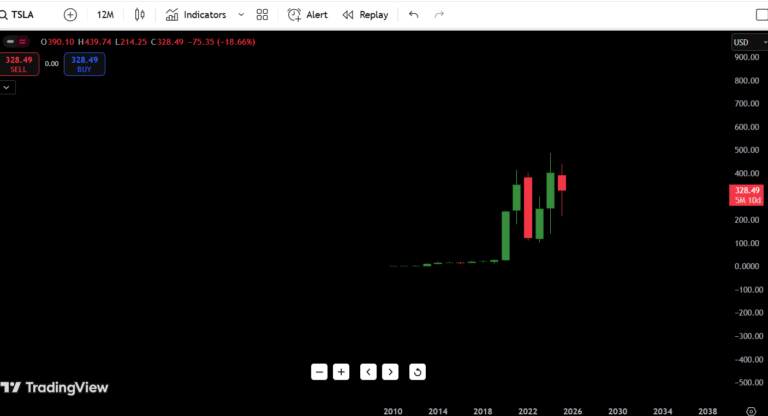 Tesla Stock Price Prediction 2030